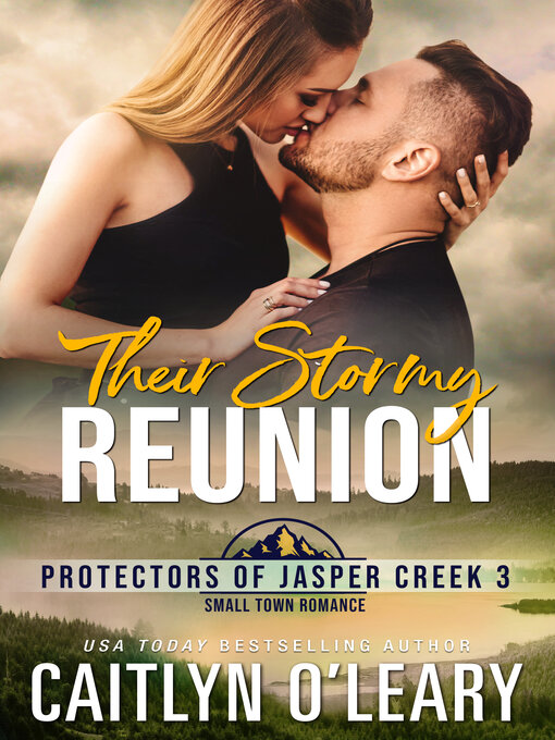 Cover image for Their Stormy Reunion